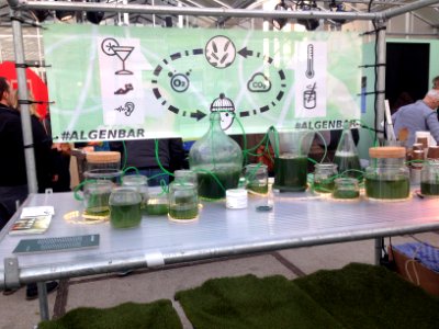 DDW2017 - Ketelhuisplein 03