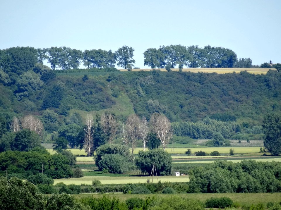 DDW view from grodzisko Talerzyk 15 7-2015