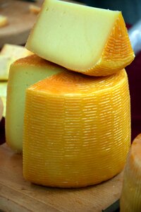 Milk dairy making