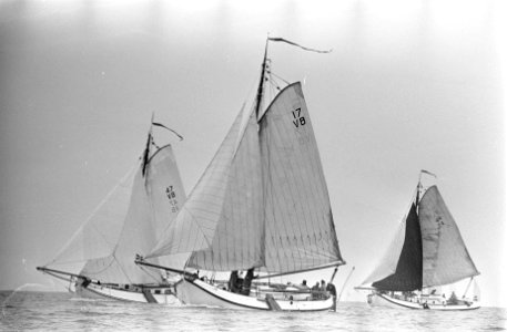 De 100-mijlsrace op het IJsselmeer tussen Hoorn en Volendam. Prinses Beatrix en , Bestanddeelnr 921-4237