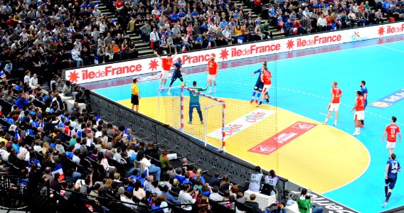 Danemark-France à la Golden League-20160110-8