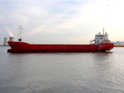 Damsterdijk - IMO 9346665, Berendrechtsluis pic1