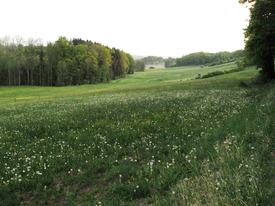 Dammbachtal unterhalb der Schnellklinge