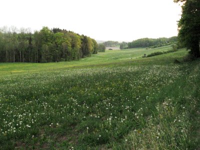 Dammbachtal unterhalb der Schnellklinge
