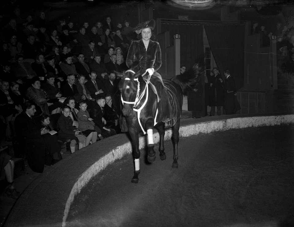 Dame te paard in circus, Bestanddeelnr 902-5991