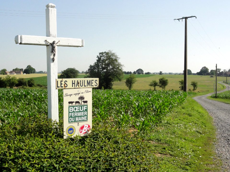 Dangeul (Sarthe) paysage avec croix, Les Haulmes