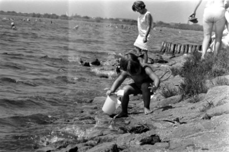 Dames zitten op bankje aan IJsselmeer in Harderwijk in de wind wegens de warmte, Bestanddeelnr 923-5879