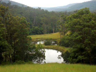 Dams along Pocket Road, Numinbah Valley, Queensland photo