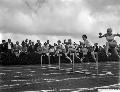 Damesathletiekwedstrijden Nederland tegen Zweden in Vlaardingen, 80m horden vl, Bestanddeelnr 910-5638
