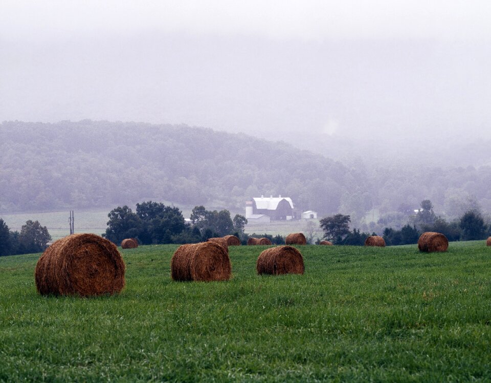 Hay bales virginia