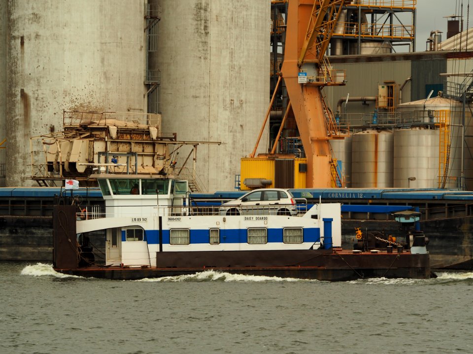 Daisy Doardo (tugboat, 1964) in de Vlothaven pic2