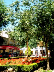 Daimiel - Plaza de Santa María 3