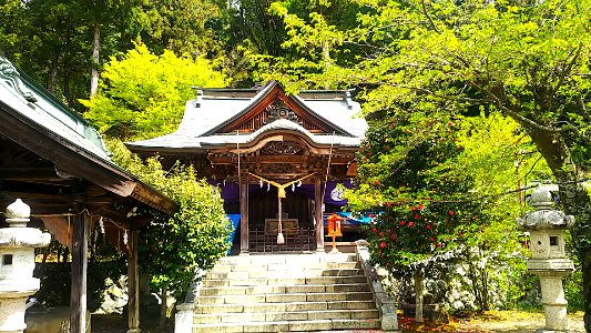 Daigo ibaraki jyuunisyo jinja (1)