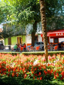 Daimiel - Plaza de Santa María 2