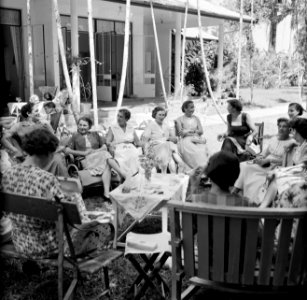 Damesgezelschap in de tuin, waarschijnlijk bij de Surinaamse Brouwerij in Parama, Bestanddeelnr 252-5061