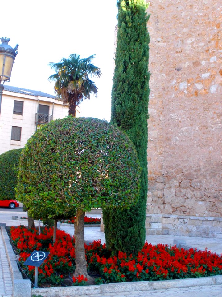 Daimiel - Plaza de San Pedro 2