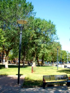 Daimiel - Parque del Carmen y Ferial 11