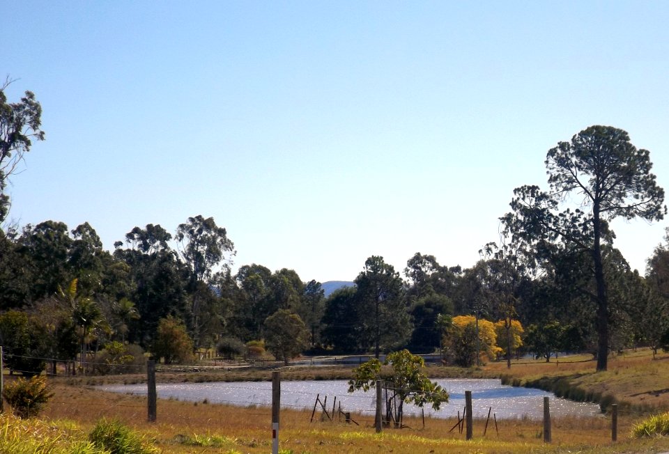 Dams and paddocks Delaneys Creek Queensland