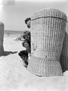 Dames en kinderen met zonnebrillen aan strand, Bestanddeelnr 907-1649