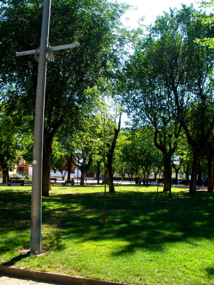 Daimiel - Parque del Carmen y Ferial 01