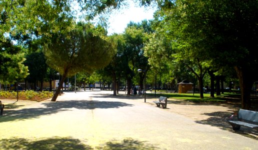 Daimiel - Parque del Carmen y Ferial 06