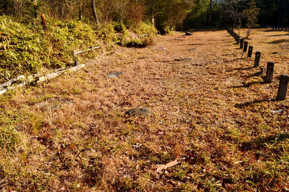 Dairino Site of Shigaraki Palace Site, shoushibou-ato