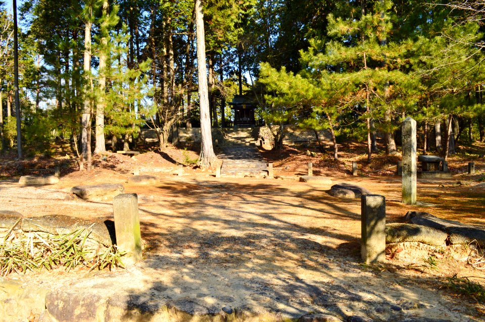Dairino Site of Shigaraki Palace Site, chumon-ato-1