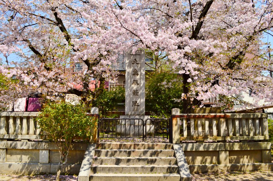 Daigokuden-ato (Heian Palace)-3