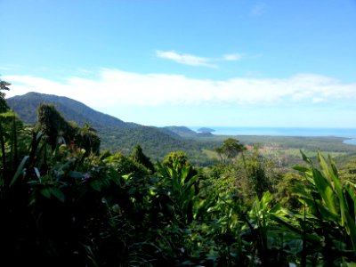 Daintree National Park, Queensland 02