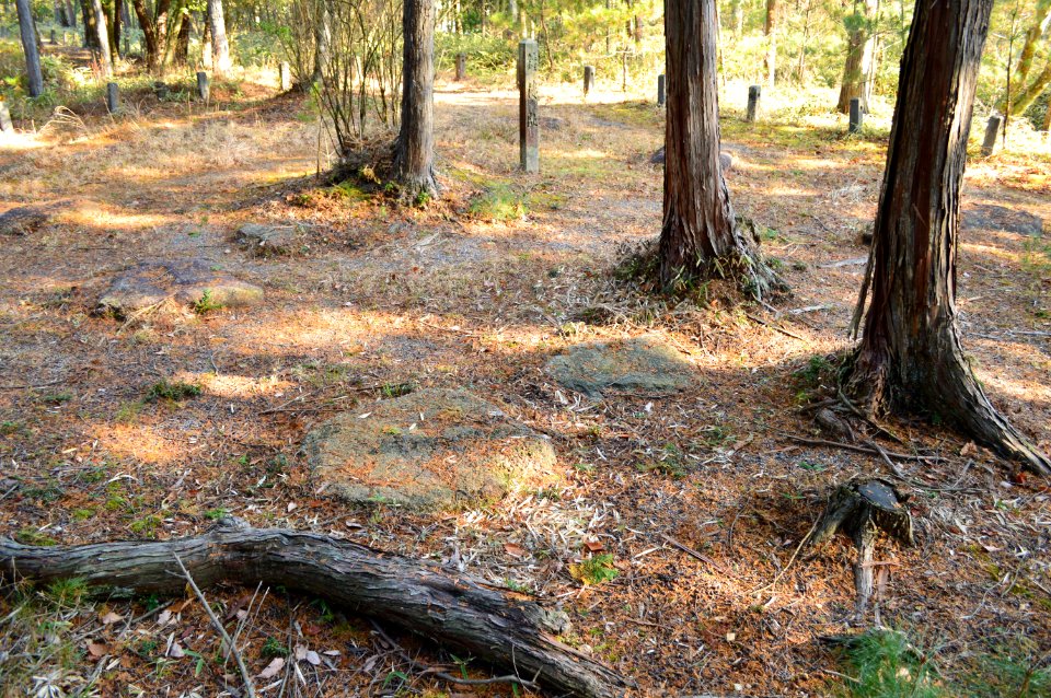 Dairino Site of Shigaraki Palace Site, shourou-ato