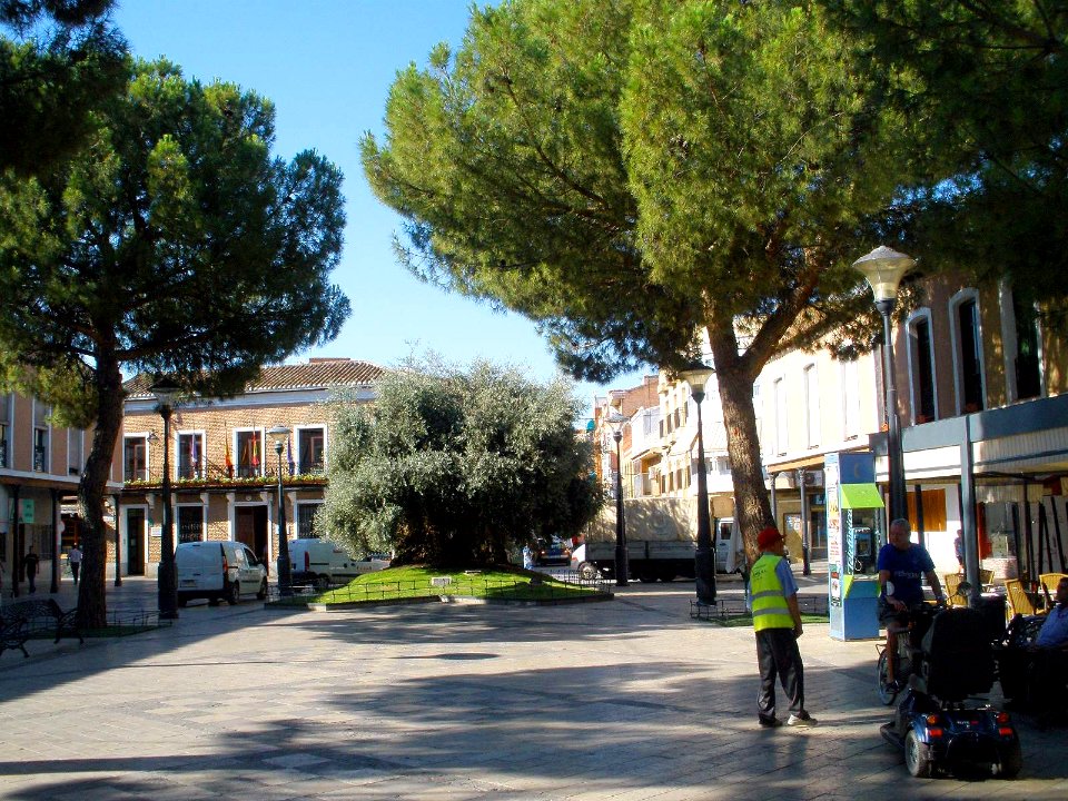 Daimiel - Plaza de España 08