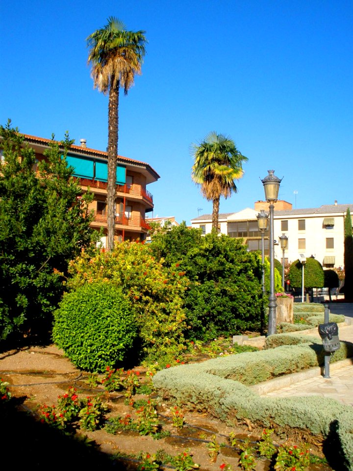 Daimiel - Plaza de San Pedro 3