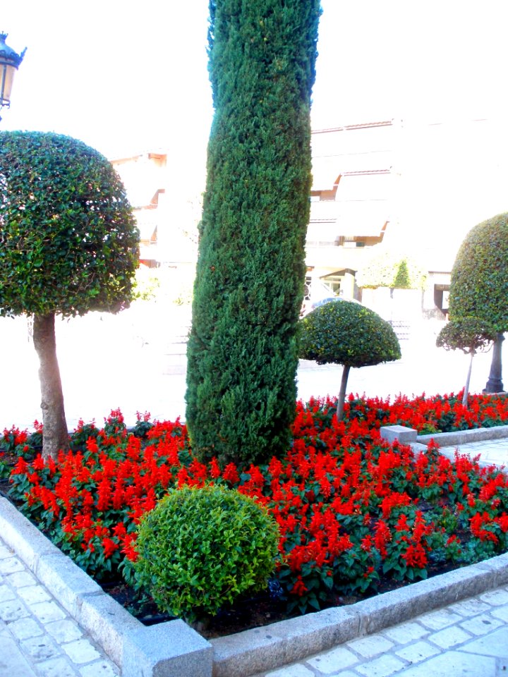 Daimiel - Plaza de San Pedro 4