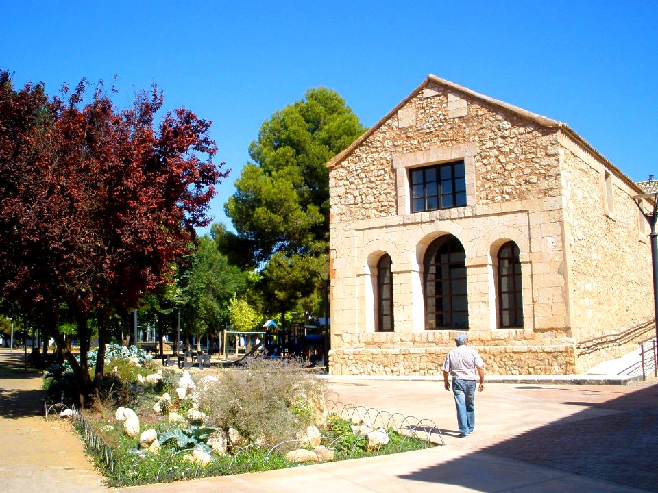 Daimiel - Parque del Carmen y Ferial 10