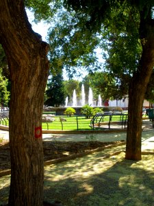 Daimiel - Parque del Carmen y Ferial 05