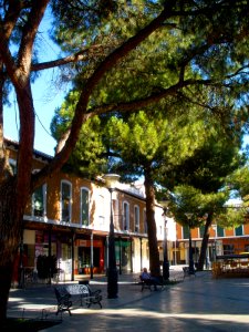 Daimiel - Plaza de España 09