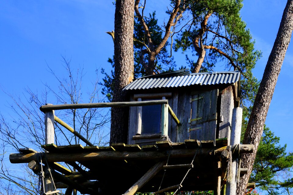 Tree hut wood play