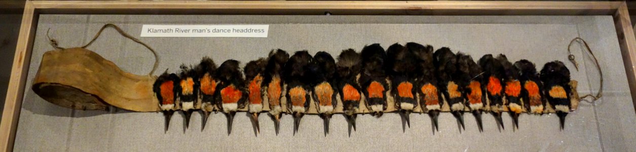 Dance headdress for man, Klamath River - Oakland Museum of California - DSC04956