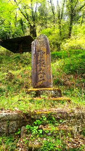 Daigo ibaraki jyuunisyo jinja (5)