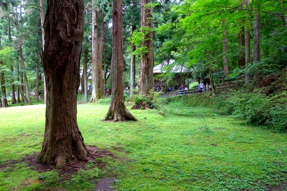 Daichojuin grounds - Chusonji, Hiraizumi, Iwate - DSC05020
