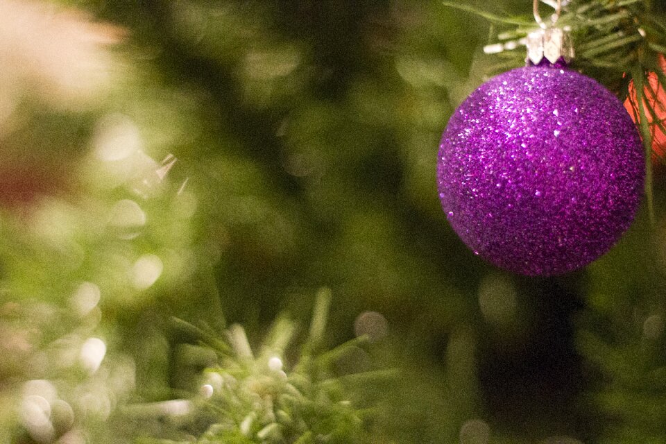 Holiday winter season