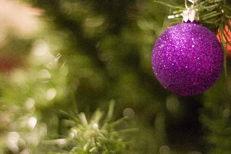 Holiday winter season