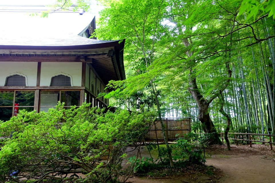 Daichojuin - Chusonji, Hiraizumi, Iwate - DSC05009