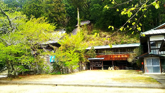 Daigo ibaraki jyuunisyo jinja (10)