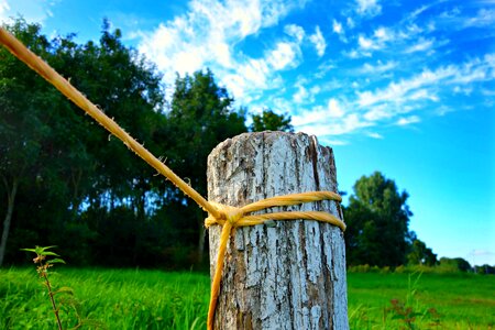Grass post rope