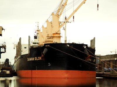 Daiwan Glory (ship, 2015) IMO 9713832, Mercuriushaven, Port of Amsterdam pic1
