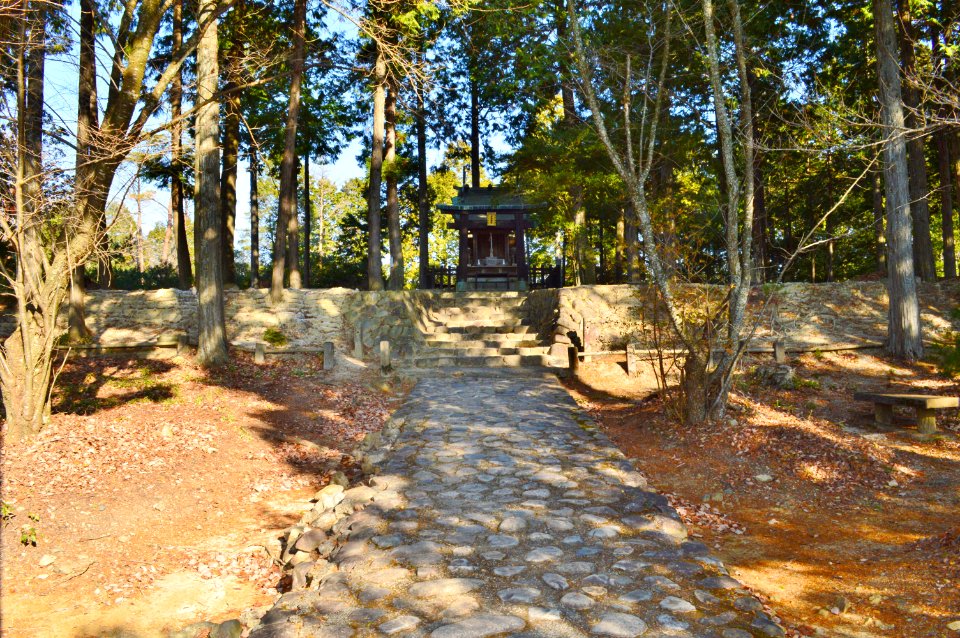 Dairino Site of Shigaraki Palace Site, kondou-ato-1