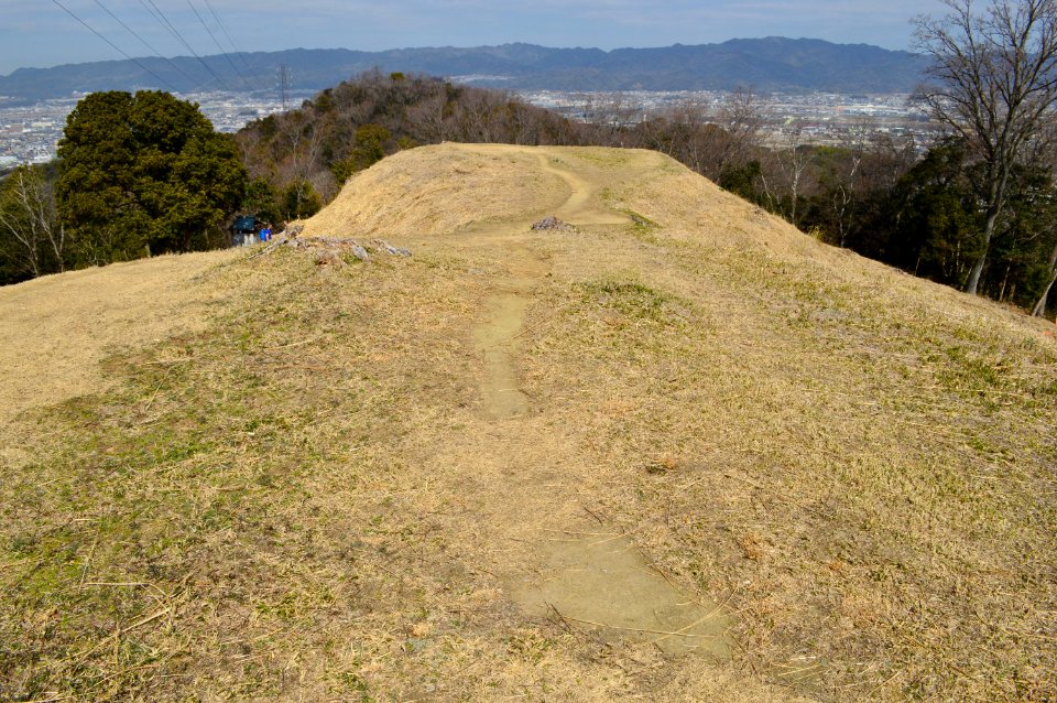 Dainichiyama Kofun Group-35, kouenbu