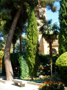 Daimiel - Plaza de Santa María 4