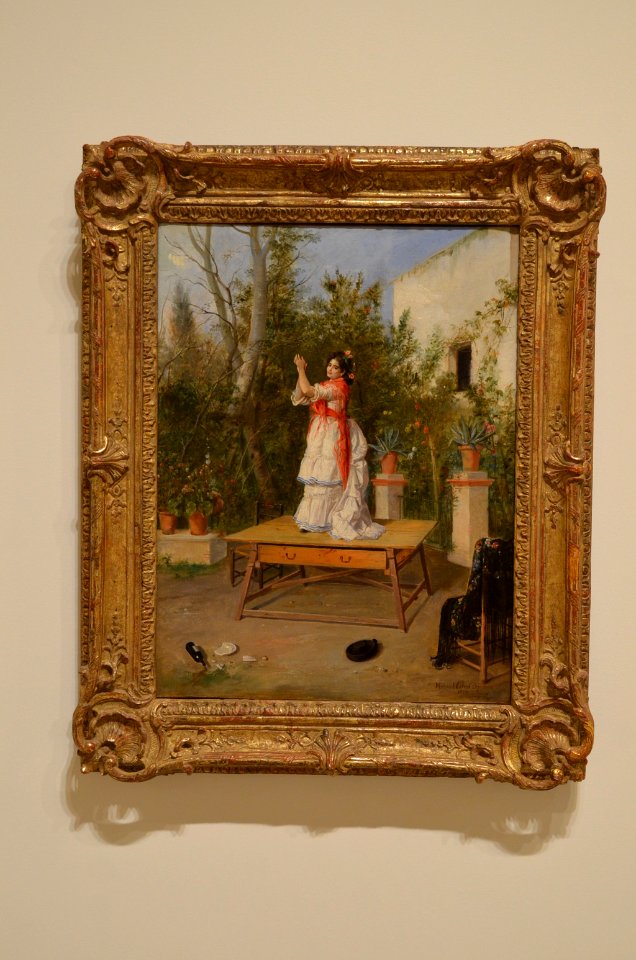 Dancing Flamenco (165379383)